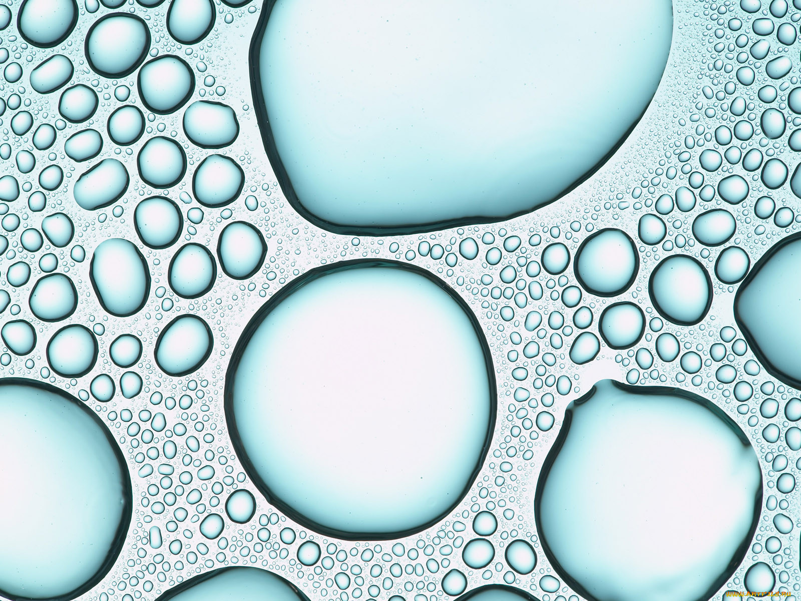 Виниловые обои пузырями. Пузыри текстура. Капли текстура. Графическая текстура пузырей. Обои пузырьки.